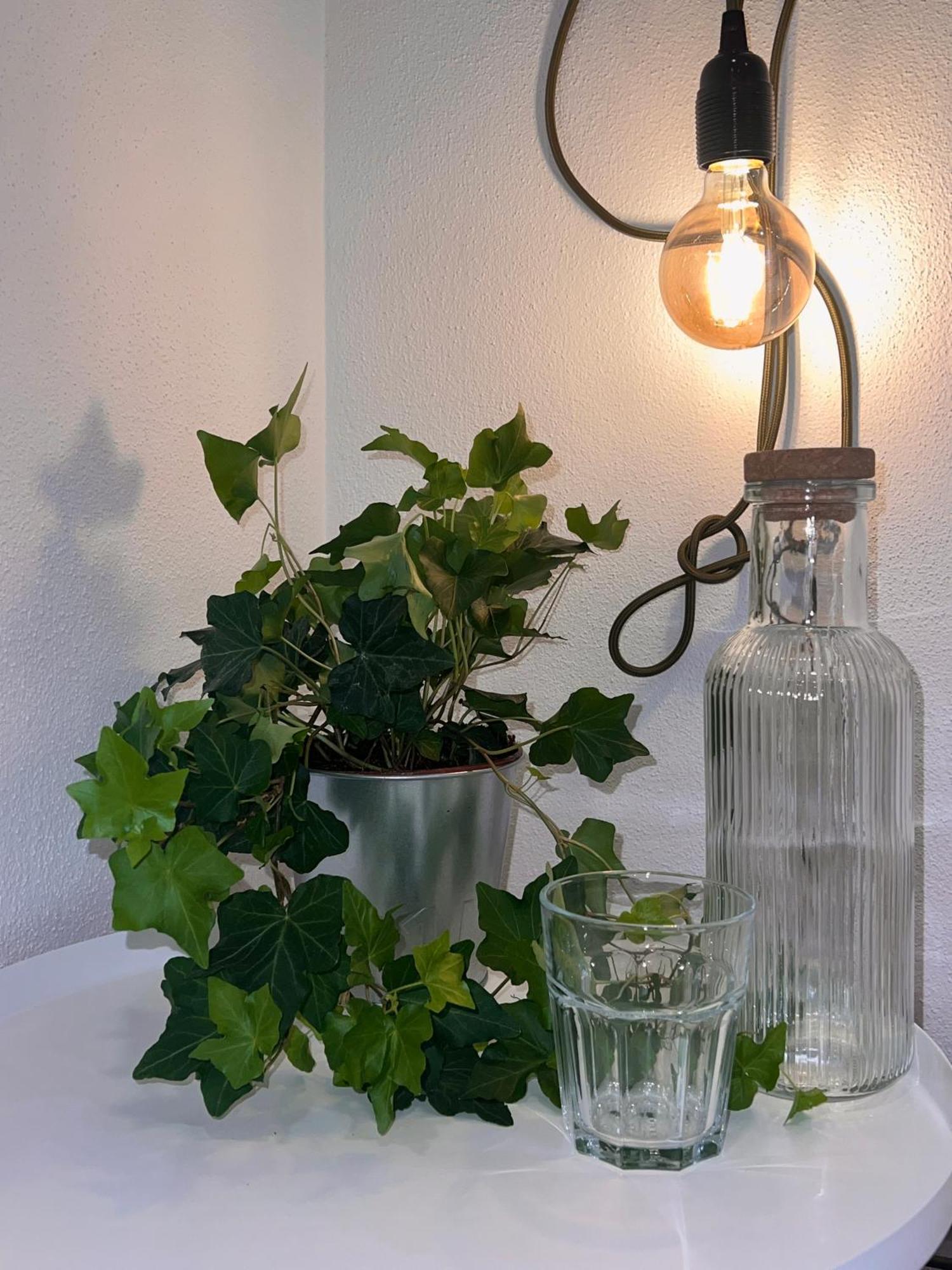 Altstadtsuite Apartament